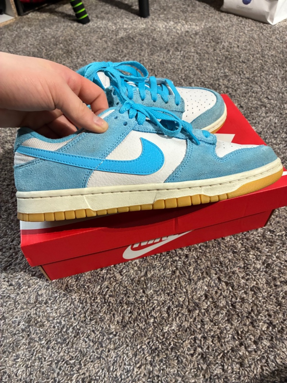 NIKE Baltic Blue Dunk Low-Top Sneakers